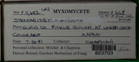 Image Associated With the Occurence